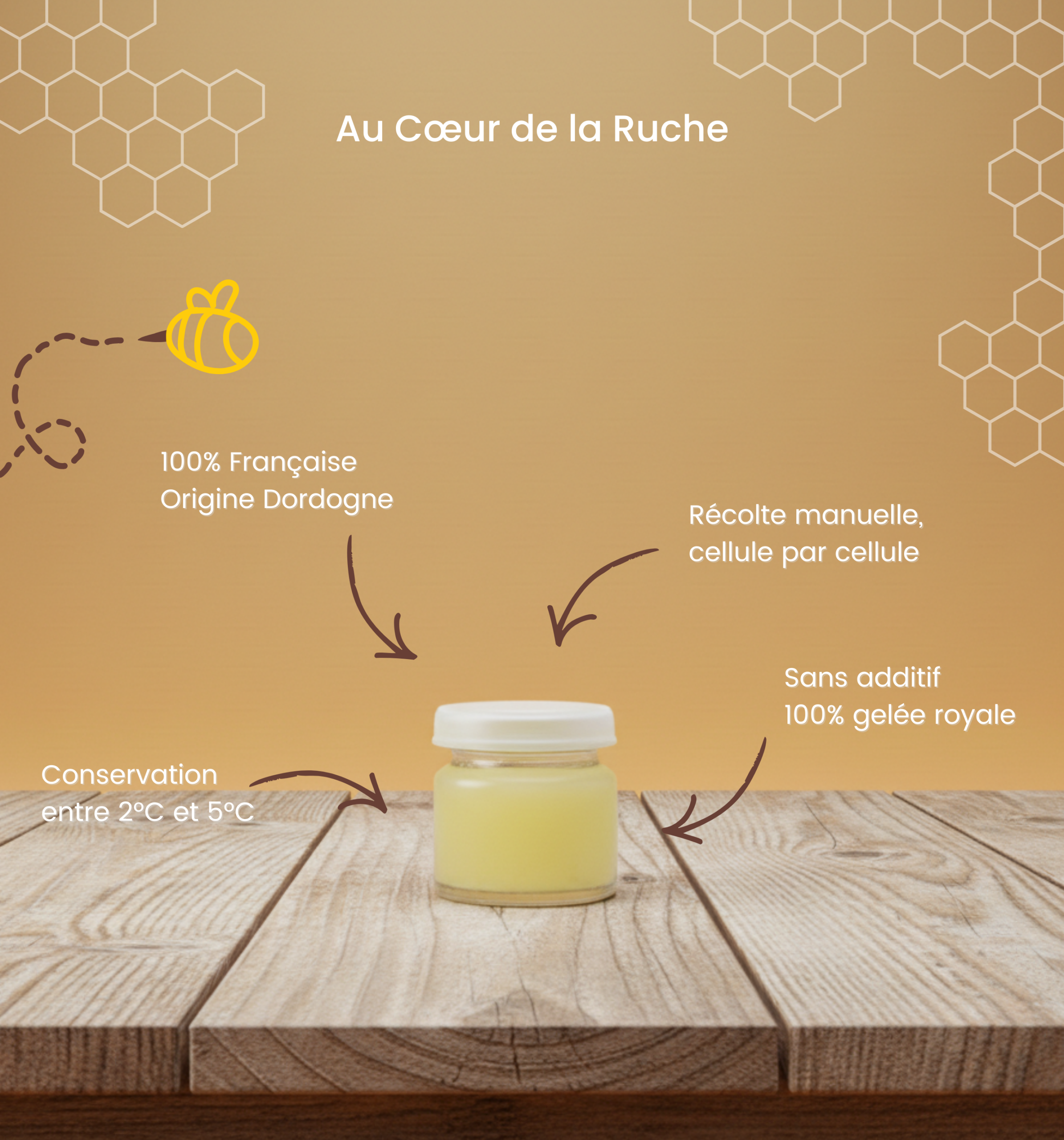 Gelée Royale 10g achat en ligne, France