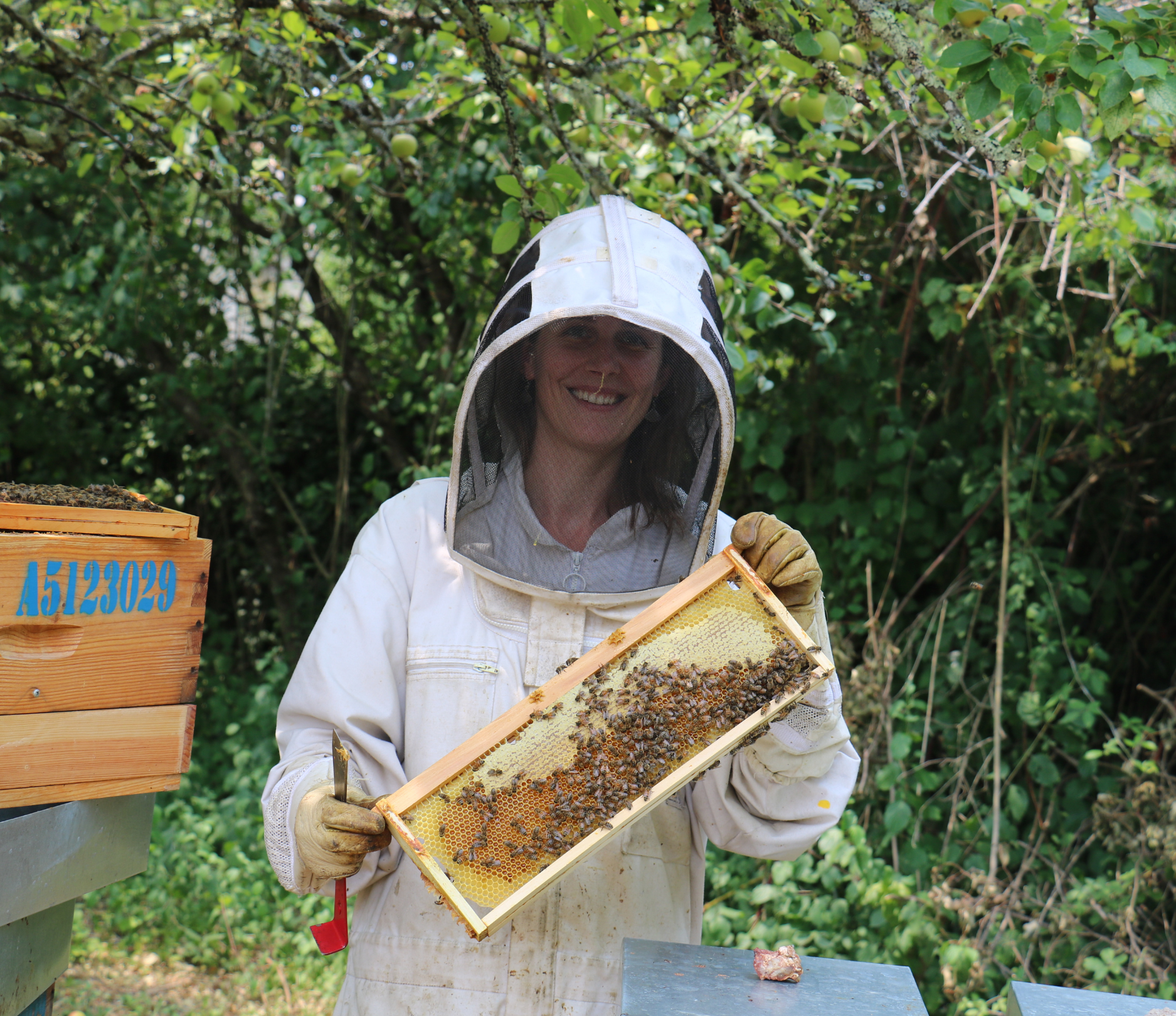 Productrice gelée royale – Reines en Scène Dordogne